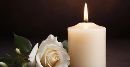 Brittany Schmidt, Obituary, Death: Darien - City in Illinois Has Died
